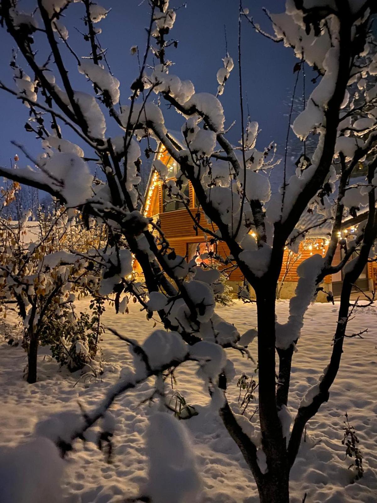 Moonlake Chalet Gainesti Eksteriør bilde