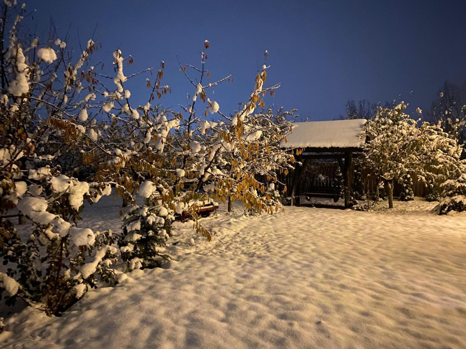 Moonlake Chalet Gainesti Eksteriør bilde